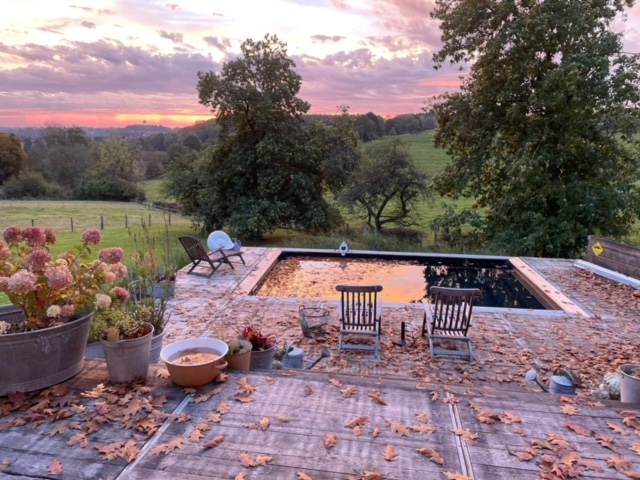 L'art de vivre en plein air : découvrez la magie des terrasses en bois